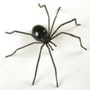 A Black Widow spider