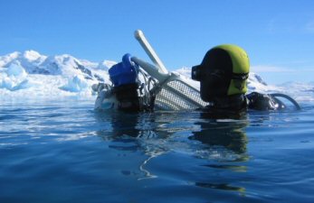 Extreme ironing in ice cold water